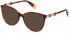 Furla VFU541 sunglasses in Pearl Red Havana