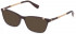Furla VFU494V sunglasses in Full Bordeaux