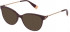 Furla VFU440N sunglasses in Bordeaux