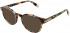 Furla VFU437 sunglasses in Multicolor Havana/Black/Yellow/Brown