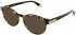 Furla VFU437 sunglasses in Shiny Dark Havana