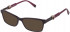 Furla VFU378 sunglasses in Shiny Dark Plum