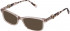 Furla VFU378 sunglasses in Shiny Transparent Beige