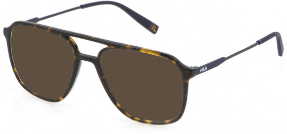 Fila VFI213 sunglasses in Shiny Dark Havana
