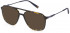 Fila VFI213 sunglasses in Shiny Dark Havana