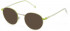 Fila VFI203 sunglasses in Shiny Palladium