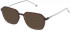 Fila VFI202 sunglasses in Shiny Dark Havana