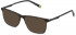 Fila VFI123 sunglasses in Matt Dark Havana