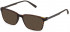 Fila VFI121 sunglasses in Rubberized Havana