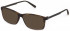 Fila VFI120 sunglasses in Rubberized Havana