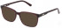 Fila VFI032 sunglasses in Shiny Aubergine