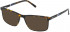 Fila VF9386 sunglasses in Shiny Brown/Yellow Havana