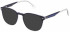 Police VPLF02 sunglasses in Blue Top/Crystal