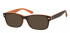 Sunglasses in Brown