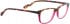 BELLINGER BOUNCE-15 glasses in Tortoise/Pink