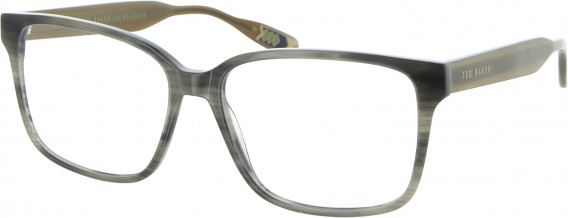 Ted Baker TB8198 glasses in Grey Horn