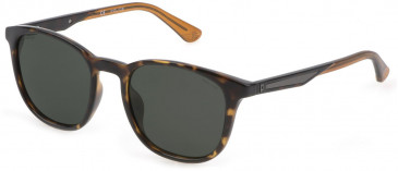 Police SPLF18E sunglasses in Shiny Dark Havana