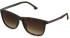 Police SPLC35 sunglasses in Matt Dark Havana