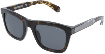 Police SPLB32 sunglasses in Shiny Dark Havana
