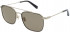 Police SPLB28 sunglasses in Semi Matt Grey Gold