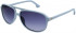 Police SPL962 sunglasses in Grey/Grey