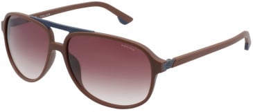 Police SPL962 sunglasses in Brown