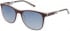 Police SPL960 sunglasses in Bordeaux/Crystal