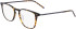 Zeiss ZS22701 glasses in Amber Tortoise