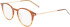 Zeiss ZS22700 glasses in Honey Horn