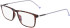 Zeiss ZS22506-57 glasses in Dark Tortoise