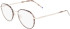 Zeiss ZS22104 glasses in Charcoal Tortoise/Silver