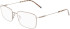 Zeiss ZS22103-58 glasses in Satin Gunmetal