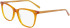 Marchon M-5507-55 glasses in Amber Crystal/Horn