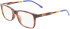 Lacoste L3647 glasses in Havana