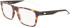Lacoste L2899 glasses in Matte Havana