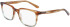 Dragon DR2034 glasses in Brown Teal