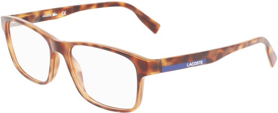 Lacoste L3649-52 glasses in Havana