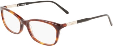 Lacoste L2900 glasses in Havana