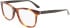 Calvin Klein CK22507 glasses in Brown Havana