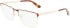 Calvin Klein CK22102 glasses in Havana/Gold