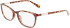 Longchamp LO2695 glasses in Havana