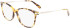 Longchamp LO2691 glasses in Tokyo Havana