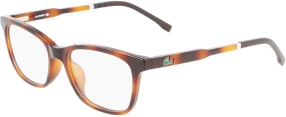 Lacoste L3648 glasses in Havana