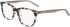 DKNY DK5040 glasses in Bone Tortoise