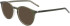 Zeiss ZS22501 sunglasses in Crystal Cargo Laminate