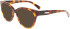 Longchamp LO2698 sunglasses in Havana