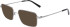 Flexon FLEXON H6058 sunglasses in Gunmetal
