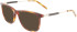 Ferragamo SF2926 sunglasses in Tortoise