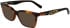 Ferragamo SF2904 sunglasses in Tortoise