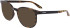 Dragon DR9006 sunglasses in Tokyo Tortoise